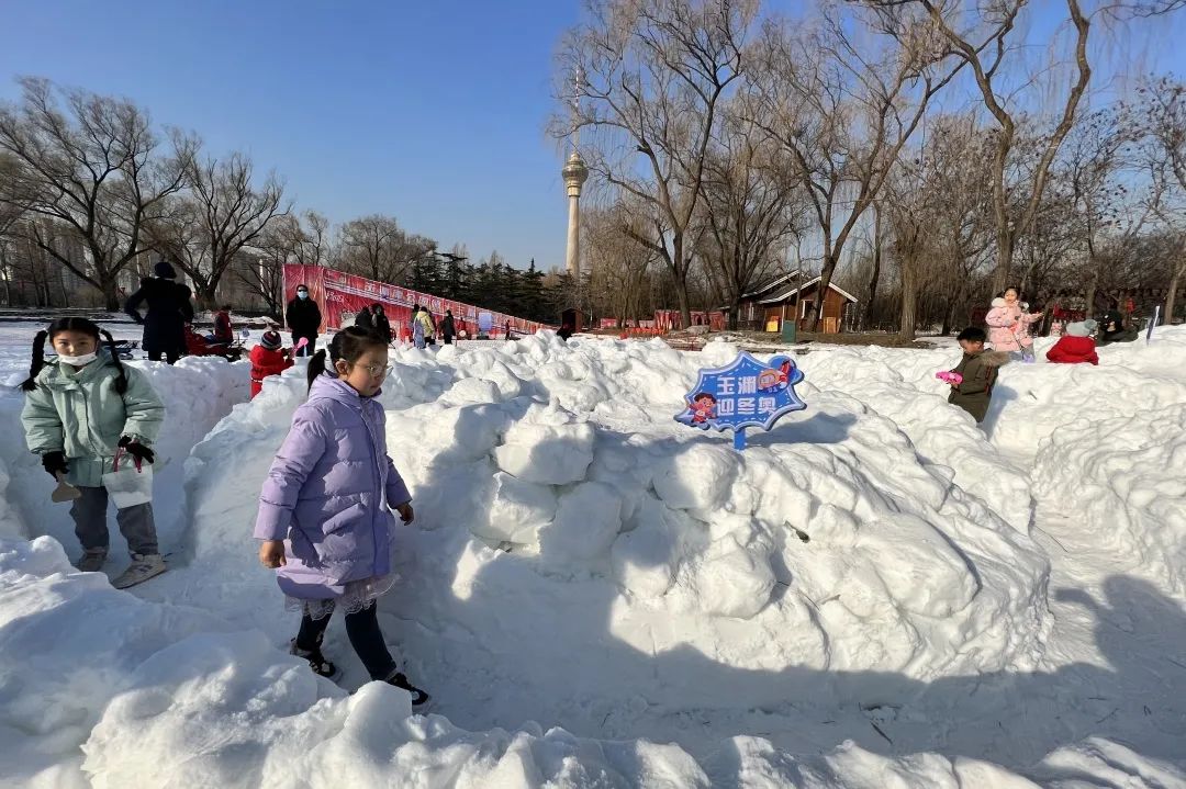 玉渊潭公园冰雪节图片